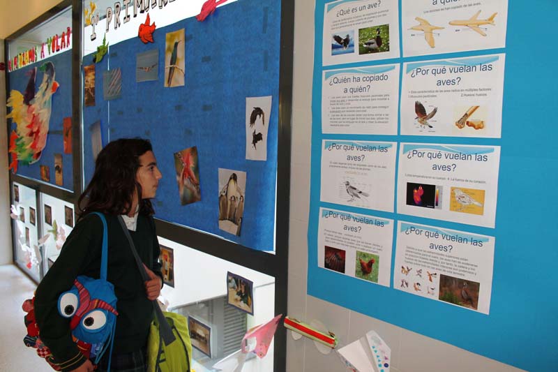 Semana Ciencias en Los Tilos